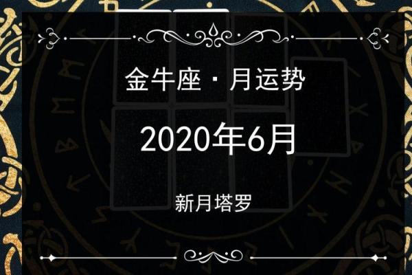 金牛座六月运势_金牛座6月运势
