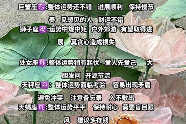 12星座运势今日运势_12星座运势今日运势最准