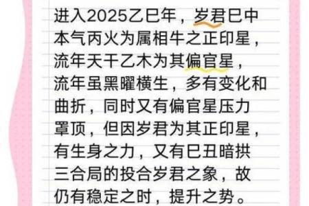 属马金牛座女2025年运势解析事业爱情双丰收