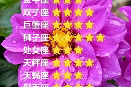 白羊座今日运势查询女星座_白羊座女生今日运势查询星座运势全解析