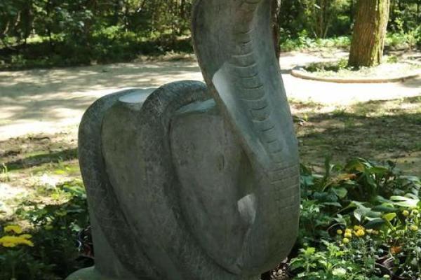 土里土气指什么生肖(土里土气什么生肖最好) 土里土气指什么生肖(土里土气什么生肖最好)