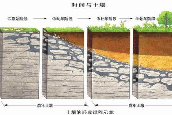 动土和破土是什么意思区别