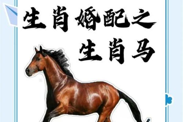 单枪匹马是什么生肖(单枪匹马是什么生肖的代表) 单枪匹马是什么生肖(单枪匹马是什么生肖的代表)