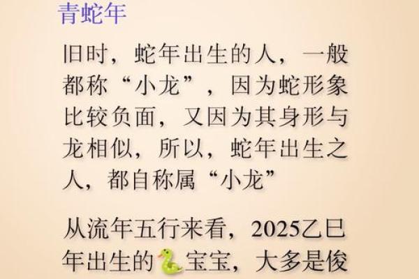 属龙今日运势2025年运程 属龙遇蛇年2025运势怎么样