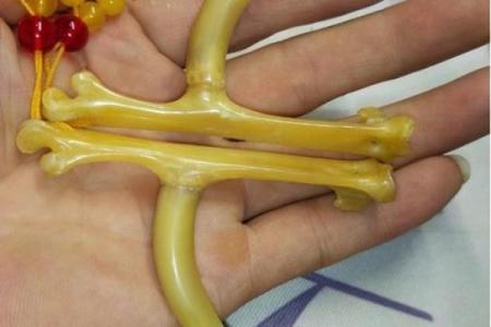 炙手可热是什么生肖(炙手可热是什么生肖最佳动物)