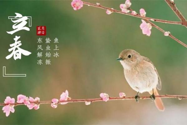 2020立春图片