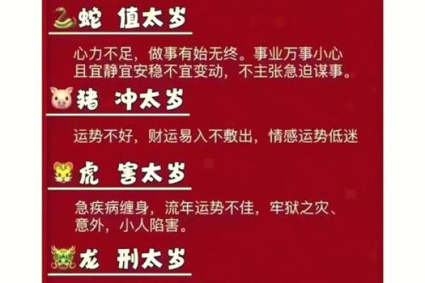 2025全年运势解析属龙人逐月运程大揭秘