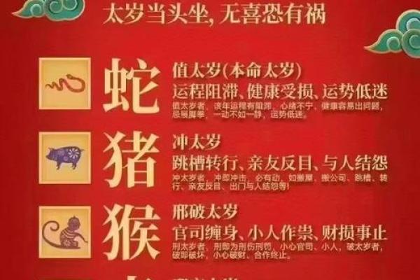 属相猪2025年犯太岁吗_2025年属猪人犯太岁吗运势详解与化解方法 属相猪2025年犯太岁吗_2025年属猪人犯太岁吗运势详解与化解方法
