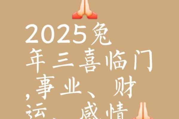 2025属兔的全年运势_2025属兔的全年运势详解