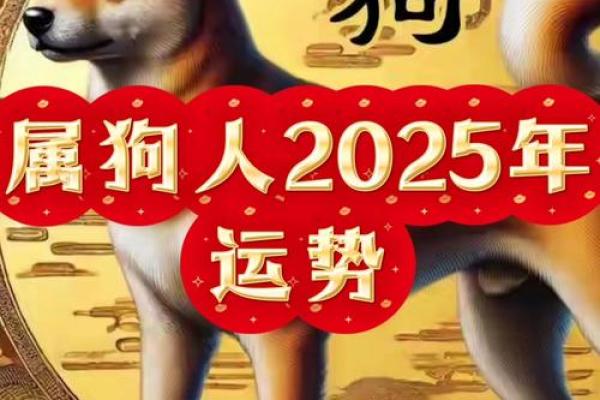 2025属狗的运势和财运怎么样 2025年属狗人运势与财运全解析
