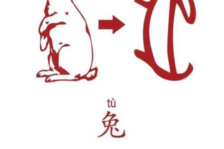 骨瘦如柴指什么生肖(骨瘦如柴的生肖指的是哪一只)