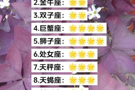 今日十二星座运势 今日十二星座运势解析揭秘你的幸运日与挑战