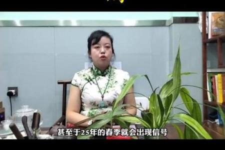 2025年1993年属鸡女运势_2025年1993年属鸡女运势怎么样