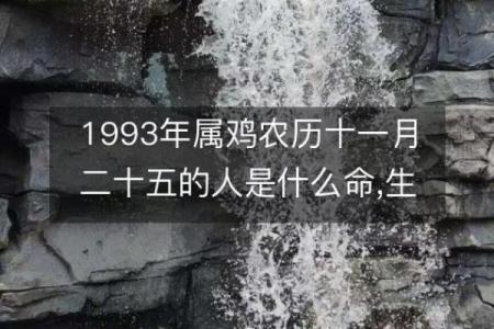 1993年3月属鸡是什么命_93年属鸡31岁有一劫