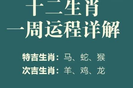 59年的猪2025年运势_59年猪2022年运程