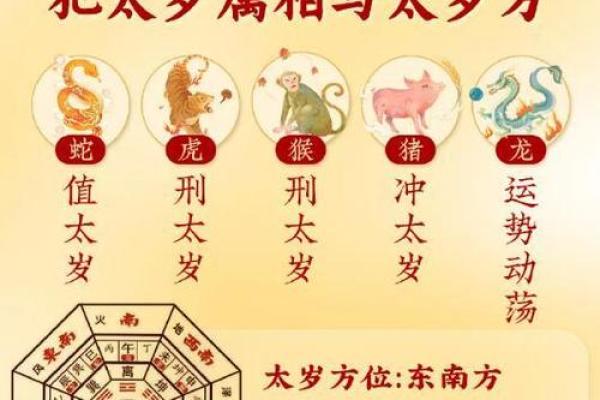 胡作非为是什么生肖(胡作非为的三大生肖) 胡作非为是什么生肖(胡作非为的三大生肖)