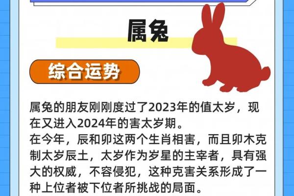 2025年属兔什么颜色最旺_属兔2025年是什么年 2025年属兔什么颜色最旺_属兔2025年是什么年