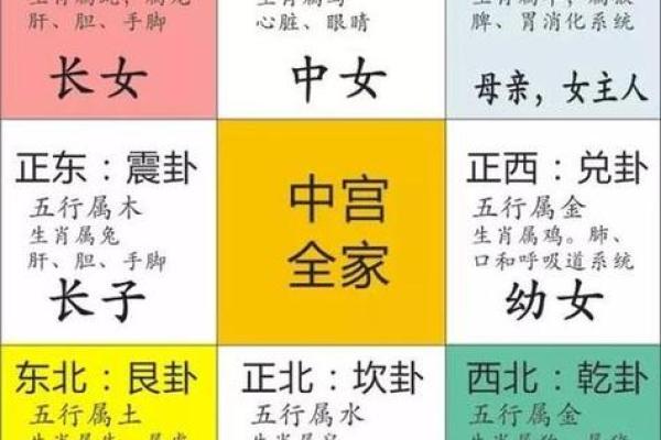 属马人出生日的命运_属马人出生日的命运详解 属马人出生日的命运_属马人出生日的命运详解