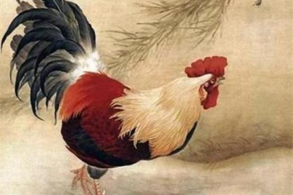 2025年1981年属鸡女运势_81年鸡女44岁躲不过桃花劫吗 2025年1981年属鸡女运势_81年鸡女44岁躲不过桃花劫吗