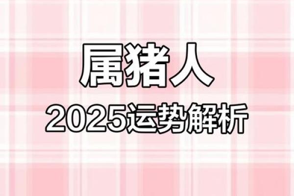 95年属猪女2025年运势 95年属猪女2025年运势详解事业财运爱情全解析