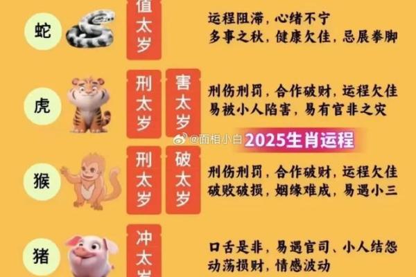 2025年属猪人全年运势详解2007年出生者运程预测 2025年属猪人全年运势详解2007年出生者运程预测