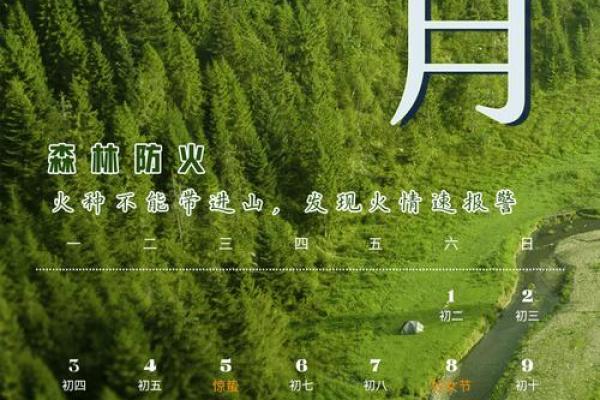 2025年结婚日子最吉利的日子农历四月初四结婚好不好(2025年四月初八是几号)