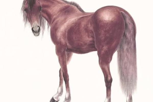 90年马2025年的运势 90年属马人2025年运势全解析事业财运与健康运预测 90年马2025年的运势 90年属马人2025年运势全解析事业财运与健康运预测