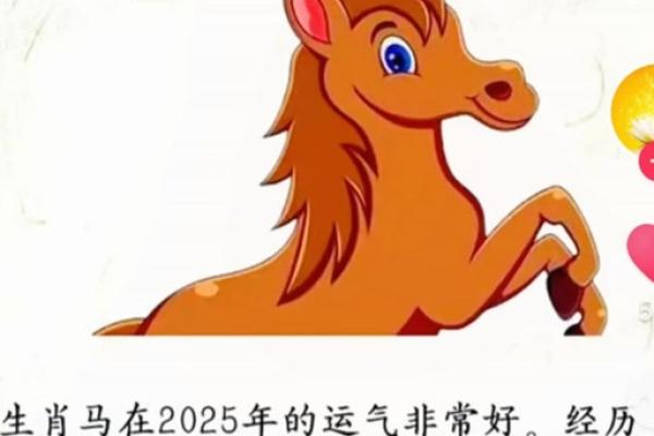 2025年属马人的全年运势如何_1990年属马人2025年全年运势运程 2025年属马人的全年运势如何_1990年属马人2025年全年运势运程