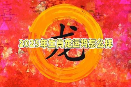 属龙的2025今年多大了啊 属龙的在2025年的运势好不好呢