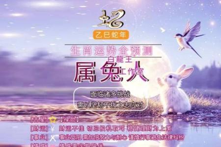 1975兔2025年运势 1975年属兔人2025年运势详解财运事业感情全解析