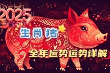 83年属猪2025年运势解析必有一难如何化解