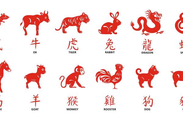 抱团取暖是什么生肖(抱团取暖的意思)