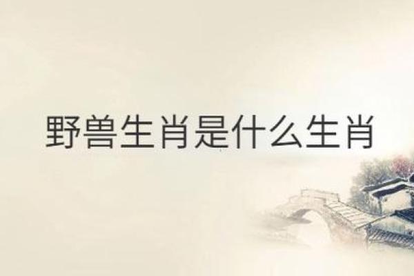 专注野兽打一生肖(专注的动物) 专注野兽打一生肖(专注的动物)