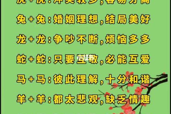 2002年属马女最佳婚配属相_2002年属马女最佳婚配属相解析姻缘配对指南 2002年属马女最佳婚配属相_2002年属马女最佳婚配属相解析姻缘配对指南