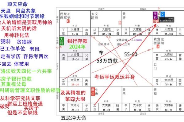 斗数全书_斗数全书解析揭秘古老命理学的奥秘与应用