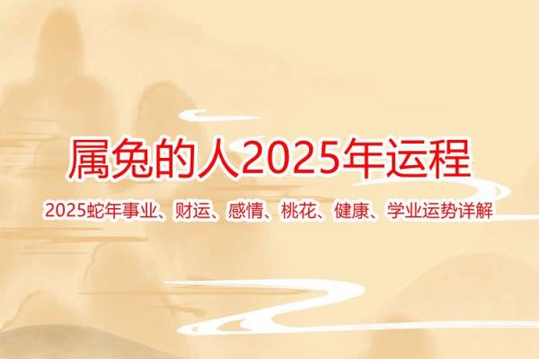 2025年生肖兔运势详解全年运程大揭秘