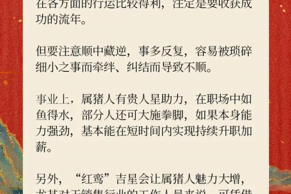 2024年属猪的多大_2024年属猪的年龄解析今年你多大