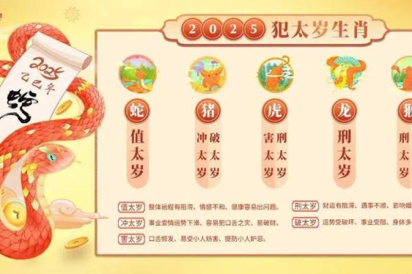 2025年生肖猪冲太岁 属猪的哪些年份犯太岁