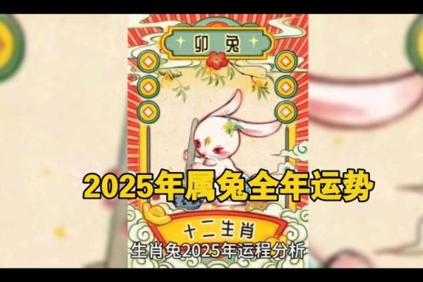 2025年属兔人的全年每月 2025年属兔人的全年每月