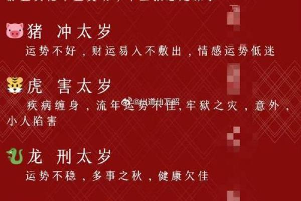 无后为大是什么生肖(无后为大是什么生肖最佳答案) 无后为大是什么生肖(无后为大是什么生肖最佳答案)