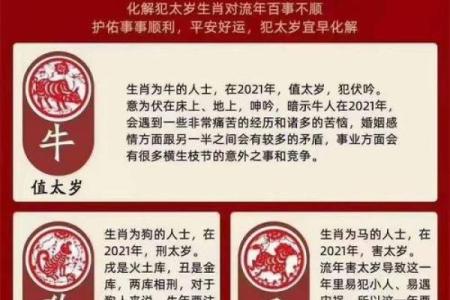 无所不有指什么生肖(无所不为是什么生肖)
