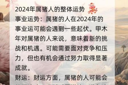 2024属猪人的全年运势 2024年属猪人全年运势详解财运事业爱情全面解析