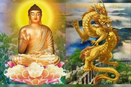 76年属龙的今年多大了_76年属龙今年多大岁数了