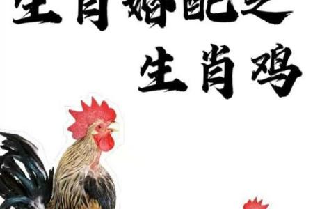 哪个生肖男离不开属鸡女 让属鸡男死心塌地的生肖女