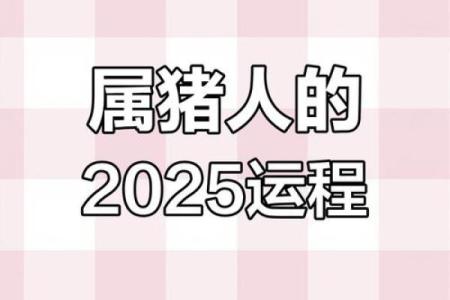 2025年属猪女每月运势详解83年出生者全年运程全解析