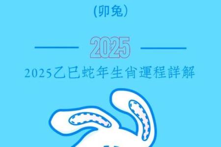 1999年兔2025年运势 1987年兔2025年每月运势详解