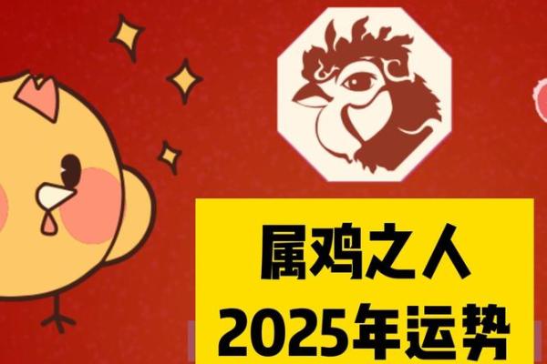 属鸡2025年多少岁 属龙的2025年多少周岁 属鸡2025年多少岁 属龙的2025年多少周岁