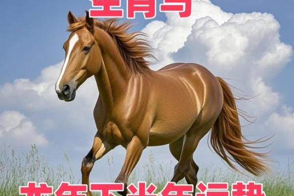 1966年属马今日运势查询_1966年属马今天运势