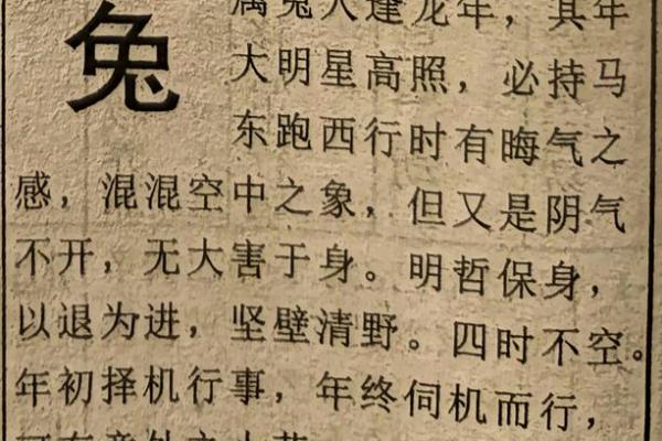 兔人2025年全年的运程和运势_属兔的运势2025年运程