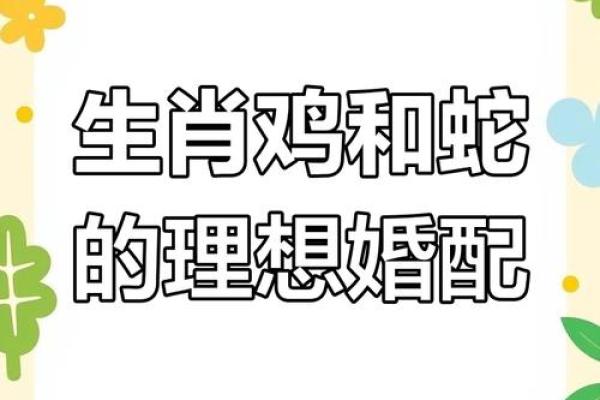 属鸡男命中注定的妻子是谁揭秘最佳婚配对象 属鸡男命中注定的妻子是谁揭秘最佳婚配对象